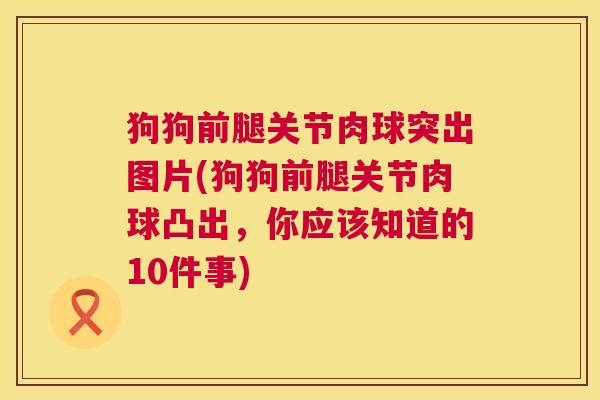 狗狗前腿关节肉球突出图片(狗狗前腿关节肉球凸出,你应该知道的10件事) 狗狗前腿关节肉球突出图片(狗狗前腿关节肉球凸出,你应该知道的10件事)