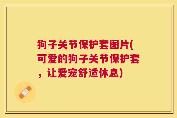狗子关节保护套图片(可爱的狗子关节保护套,让爱宠舒适休息) 狗子关节保护套图片(可爱的狗子关节保护套,让爱宠舒适休息)