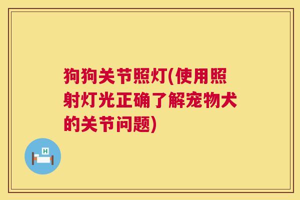 狗狗关节照灯(使用照射灯光正确了解宠物犬的关节问题)