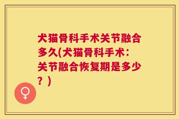 犬猫骨科手术关节融合多久(犬猫骨科手术:关节融合恢复期是多少?)