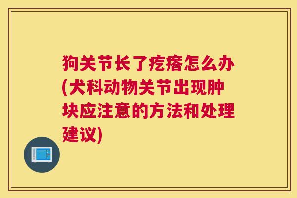 狗关节长了疙瘩怎么办(犬科动物关节出现肿块应注意的方法和处理建议)