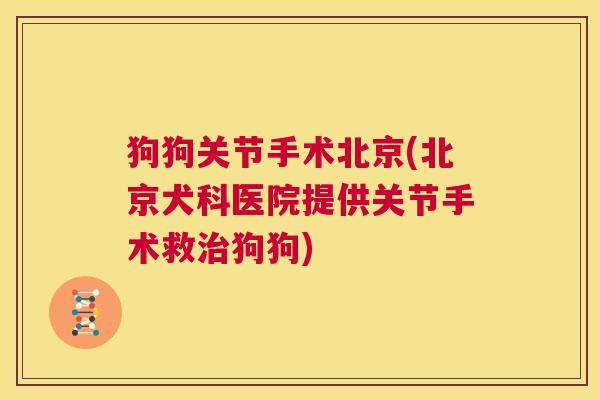 狗狗关节手术北京(北京犬科医院提供关节手术救治狗狗)
