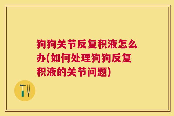 狗狗关节反复积液怎么办(如何处理狗狗反复积液的关节问题) 狗狗关节反复积液怎么办(如何处理狗狗反复积液的关节问题)
