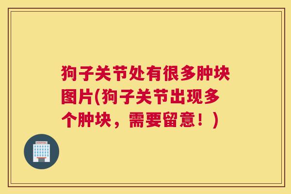 狗子关节处有很多肿块图片(狗子关节出现多个肿块,需要留意!)
