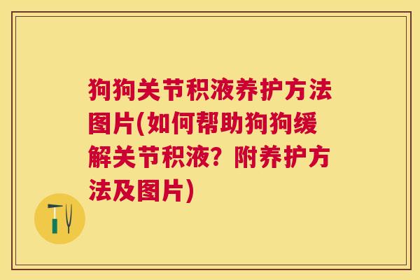 狗狗关节积液养护方法图片(如何帮助狗狗缓解关节积液?附养护方法及图片)