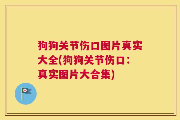 狗狗关节伤口图片真实大全(狗狗关节伤口:真实图片大合集) 狗狗关节伤口图片真实大全(狗狗关节伤口:真实图片大合集)