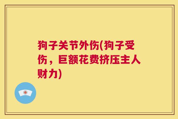 狗子关节外伤(狗子受伤,巨额花费挤压主人财力) 狗子关节外伤(狗子受伤,巨额花费挤压主人财力)