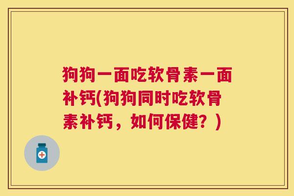狗狗一面吃软骨素一面补钙(狗狗同时吃软骨素补钙,如何保健?)