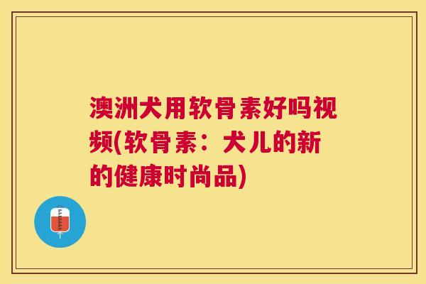 澳洲犬用软骨素好吗视频(软骨素:犬儿的新的健康时尚品)