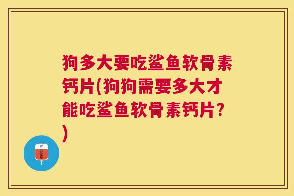 狗多大要吃鲨鱼软骨素钙片(狗狗需要多大才能吃鲨鱼软骨素钙片?)