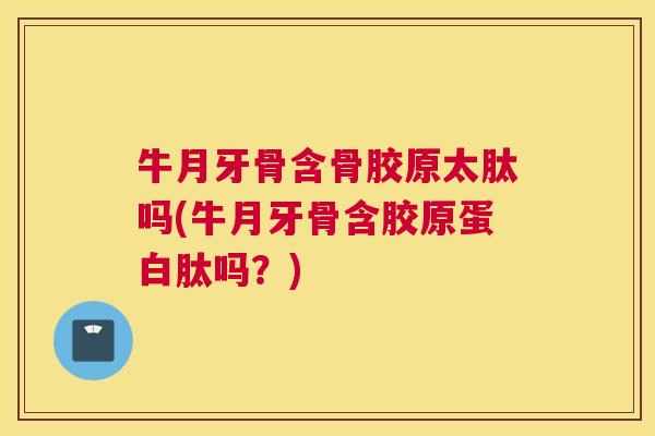 牛月牙骨含骨胶原太肽吗(牛月牙骨含胶原蛋白肽吗？)