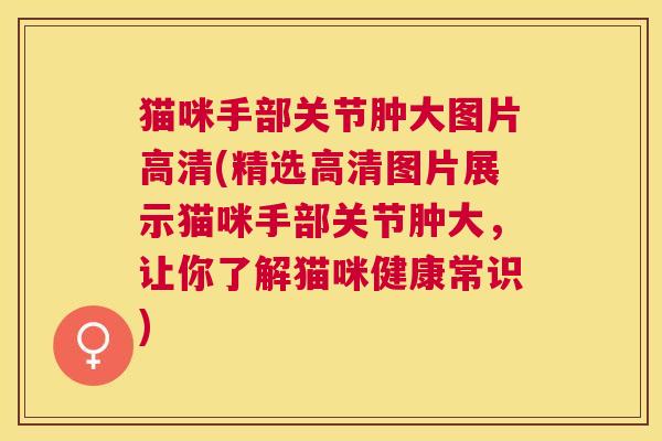 猫咪手部关节肿大图片高清(精选高清图片展示猫咪手部关节肿大,让你了解猫咪健康常识)