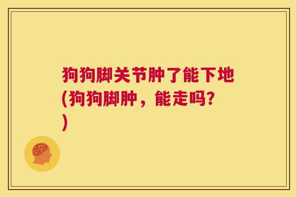 狗狗脚关节肿了能下地(狗狗脚肿,能走吗?)