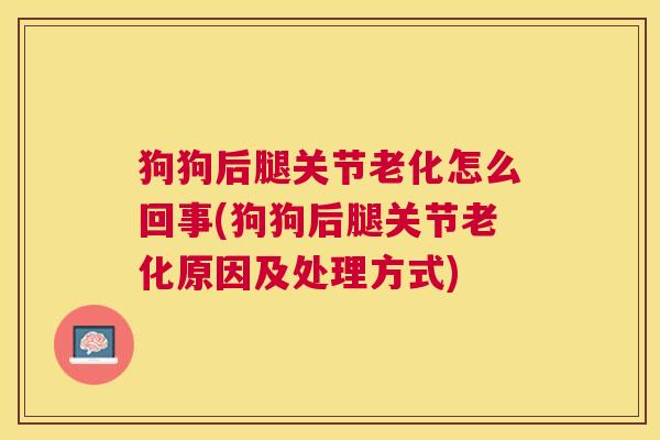 狗狗后腿关节老化怎么回事(狗狗后腿关节老化原因及处理方式)