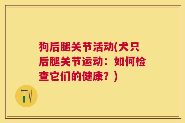 狗后腿关节活动(犬只后腿关节运动：如何检查它们的健康？)
