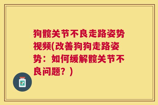 狗髋关节不良走路姿势视频(改善狗狗走路姿势:如何缓解髋关节不良问题?)