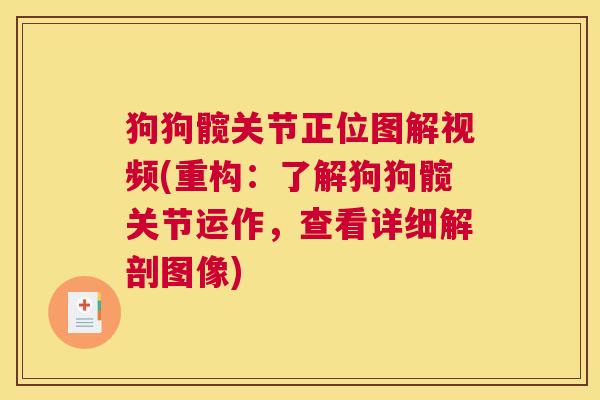 狗狗髋关节正位图解视频(重构:了解狗狗髋关节运作,查看详细解剖图像)