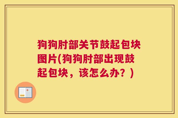狗狗肘部关节鼓起包块图片(狗狗肘部出现鼓起包块，该怎么办？)
