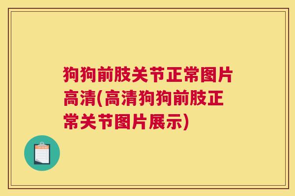 狗狗前肢关节正常图片高清(高清狗狗前肢正常关节图片展示)
