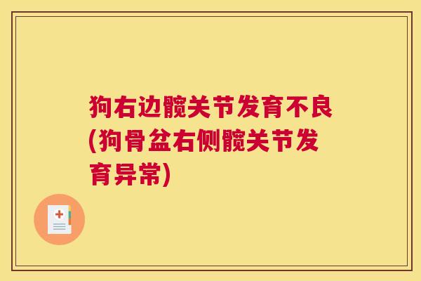 狗右边髋关节发育不良(狗骨盆右侧髋关节发育异常)