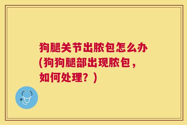 狗腿关节出脓包怎么办(狗狗腿部出现脓包，如何处理？)