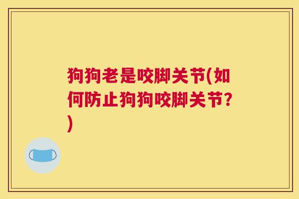 狗狗老是咬脚关节(如何防止狗狗咬脚关节?)
