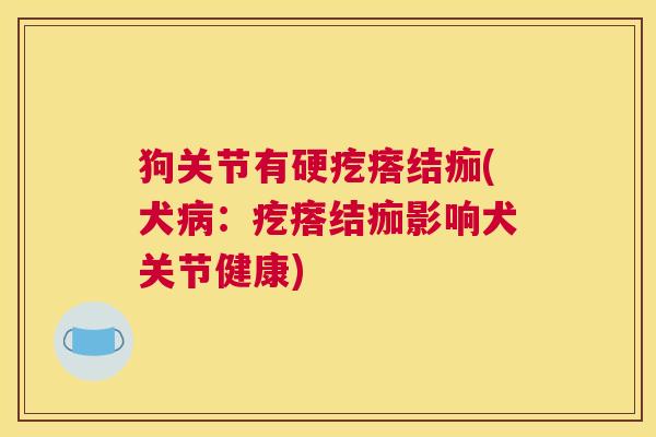 狗关节有硬疙瘩结痂(犬病:疙瘩结痂影响犬关节健康)
