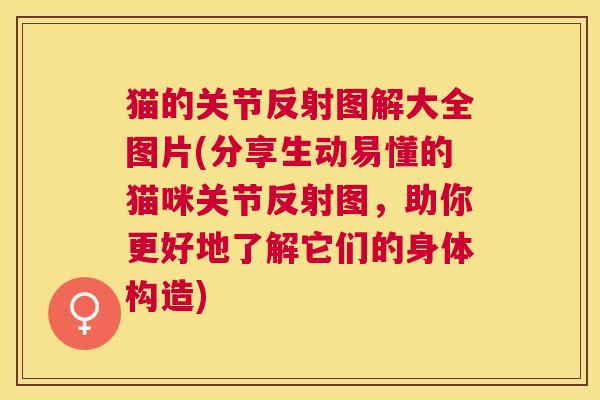 猫的关节反射图解大全图片(分享生动易懂的猫咪关节反射图,助你更好地了解它们的身体构造)