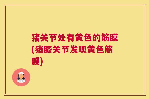 猪关节处有黄色的筋膜(猪膝关节发现黄色筋膜) 猪关节处有黄色的筋膜(猪膝关节发现黄色筋膜)