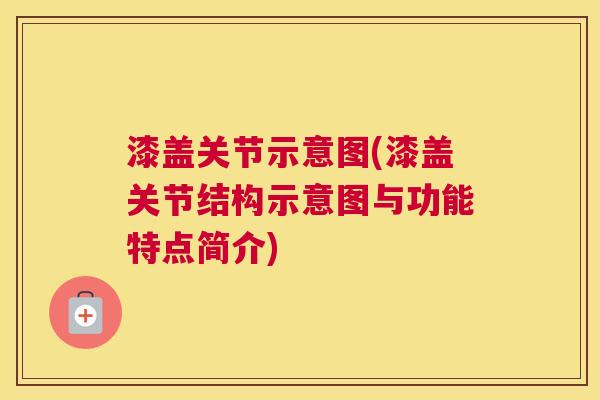 漆盖关节示意图(漆盖关节结构示意图与功能特点简介)