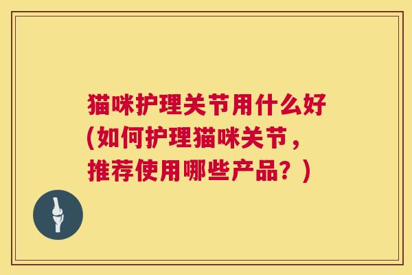 猫咪护理关节用什么好(如何护理猫咪关节，推荐使用哪些产品？)