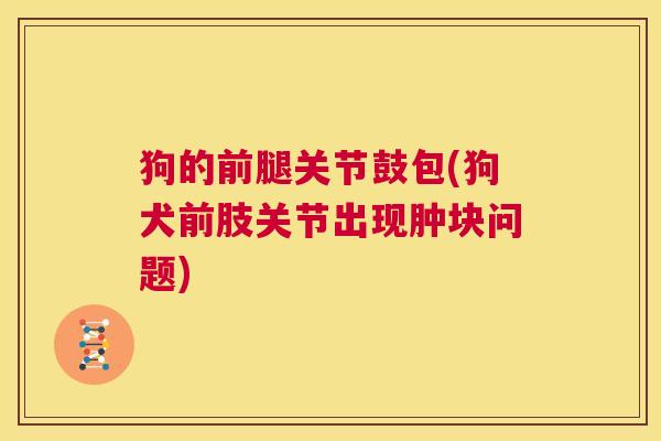 狗的前腿关节鼓包(狗犬前肢关节出现肿块问题)