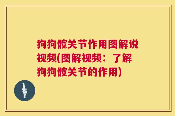 狗狗髋关节作用图解说视频(图解视频:了解狗狗髋关节的作用)