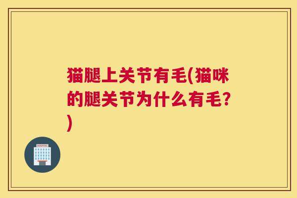 猫腿上关节有毛(猫咪的腿关节为什么有毛？)