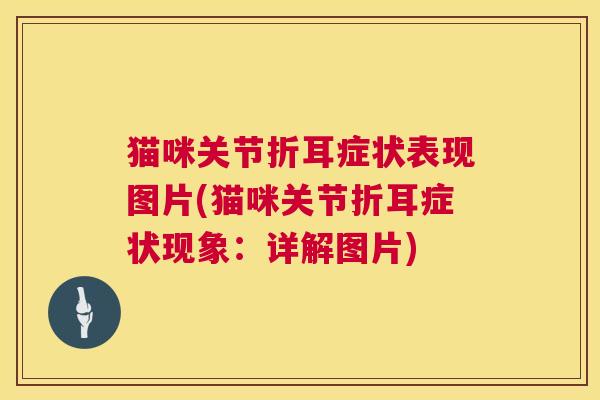 猫咪关节折耳症状表现图片(猫咪关节折耳症状现象:详解图片)