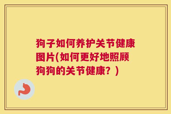 狗子如何养护关节健康图片(如何更好地照顾狗狗的关节健康?)