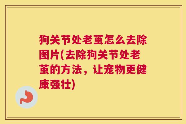 狗关节处老茧怎么去除图片(去除狗关节处老茧的方法,让宠物更健康强壮) 狗关节处老茧怎么去除图片(去除狗关节处老茧的方法,让宠物更健康强壮)