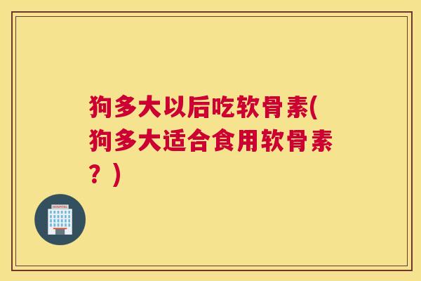 狗多大以后吃软骨素(狗多大适合食用软骨素?)