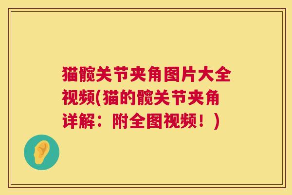 猫髋关节夹角图片大全视频(猫的髋关节夹角详解:附全图视频!)