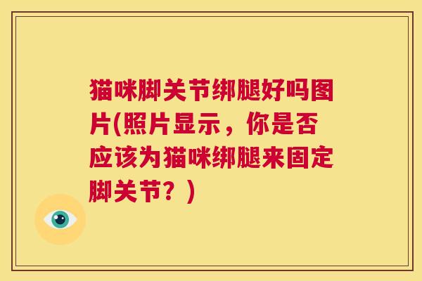 猫咪脚关节绑腿好吗图片(照片显示,你是否应该为猫咪绑腿来固定脚关节?) 猫咪脚关节绑腿好吗图片(照片显示,你是否应该为猫咪绑腿来固定脚关节?)