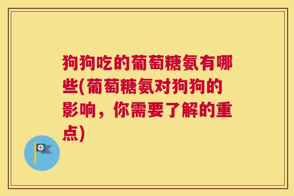 狗狗吃的葡萄糖氨有哪些(葡萄糖氨对狗狗的影响,你需要了解的重点)