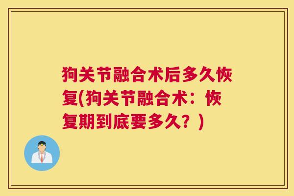 狗关节融合术后多久恢复(狗关节融合术:恢复期到底要多久?)