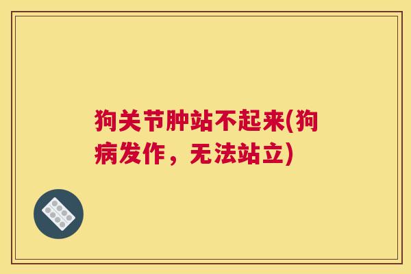 狗关节肿站不起来(狗发作,无法站立) 狗关节肿站不起来(狗发作,无法站立)