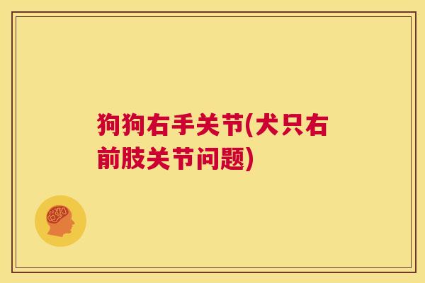 狗狗右手关节(犬只右前肢关节问题)
