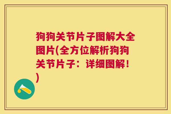 狗狗关节片子图解大全图片(全方位解析狗狗关节片子:详细图解!)