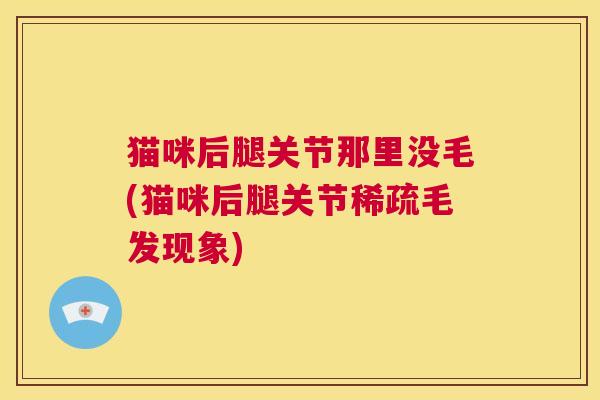 猫咪后腿关节那里没毛(猫咪后腿关节稀疏毛发现象) 猫咪后腿关节那里没毛(猫咪后腿关节稀疏毛发现象)