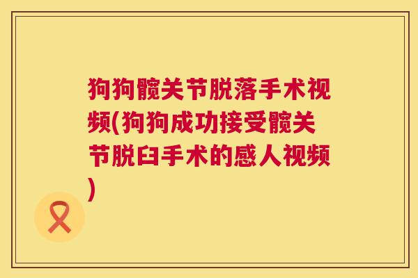狗狗髋关节脱落手术视频(狗狗成功接受髋关节脱臼手术的感人视频)