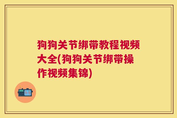 狗狗关节绑带教程视频大全(狗狗关节绑带操作视频集锦) 狗狗关节绑带教程视频大全(狗狗关节绑带操作视频集锦)