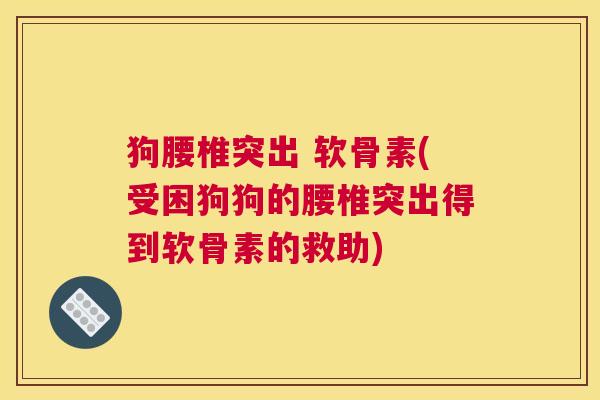 狗腰椎突出 软骨素(受困狗狗的腰椎突出得到软骨素的救助)