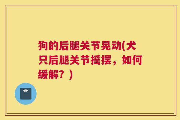 狗的后腿关节晃动(犬只后腿关节摇摆,如何缓解?)